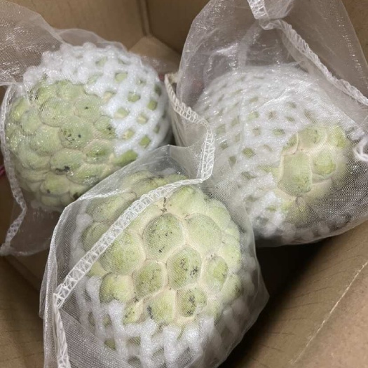 汕头林檎 牛奶释迦