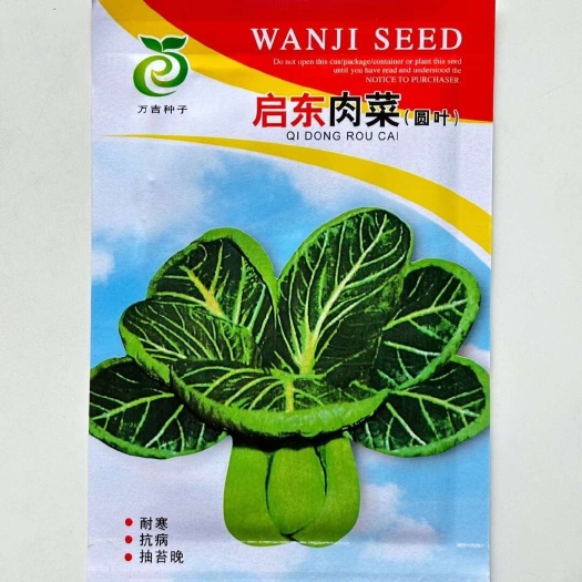 沭阳县启东肉菜种子深绿叶厚圆叶青菜种籽口感糯秋冬耐寒耐抽苔青菜种孑
