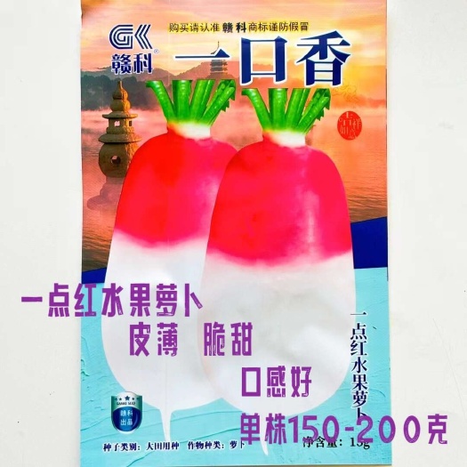 沭阳县一点红萝卜种子甜脆水果罗卜种籽红皮水萝卜秋季四季播种植蔬菜子