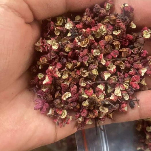 天水花椒