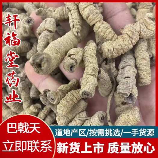 亳州【巴戟天】产地广西实物拍摄一手货源大货供应规格齐全量大优惠
