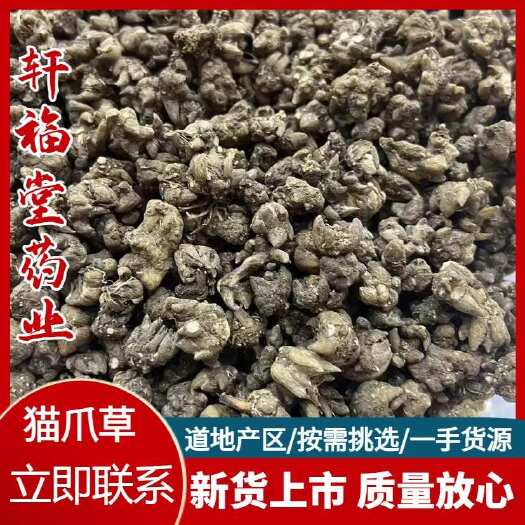 【猫爪草】产地河南实物拍摄一手货源大货供应规格齐全价格优惠