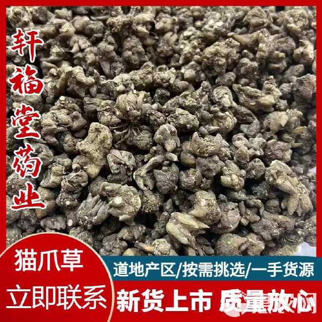 【猫爪草】产地河南实物拍摄一手货源大货供应规格齐全价格优惠