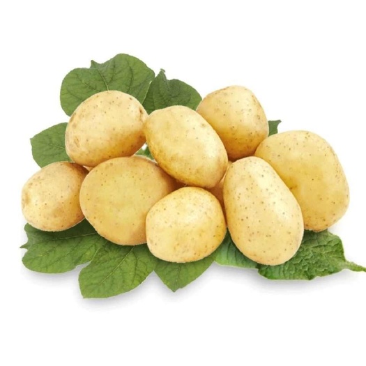 土豆甘肃沙面土豆黄皮黄心洋芋定西马铃薯