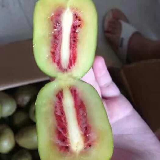 宁海县猕猴桃