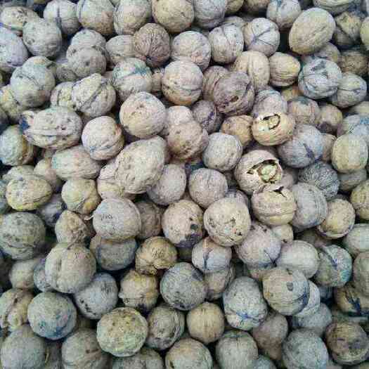 昔阳县干核桃