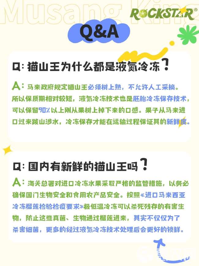 马来西亚猫山王D197树熟液氮A果代发顺丰包邮