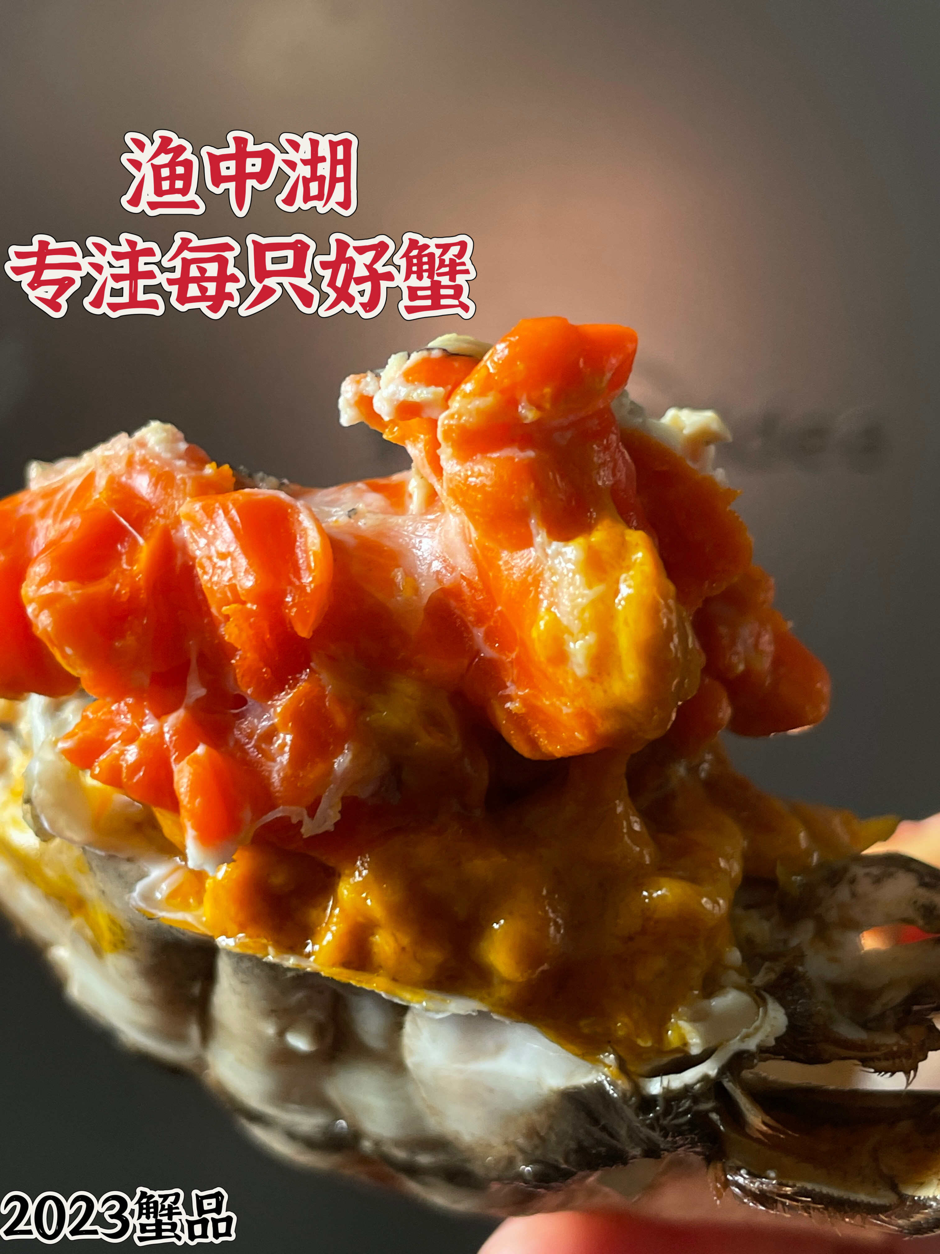 阳澄湖镇大闸蟹免费加盟一件代发，团购，企业采购一手货源