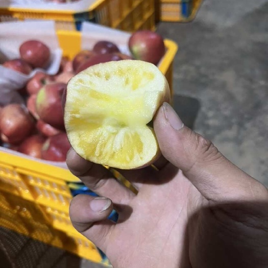 昭通红露冰糖心苹果（云南昭通）