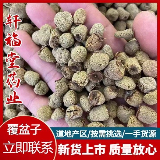 亳州【覆盆子】产地浙江实物拍摄一手货源规格齐全大货供应量大优惠