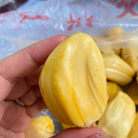 海口菠萝蜜