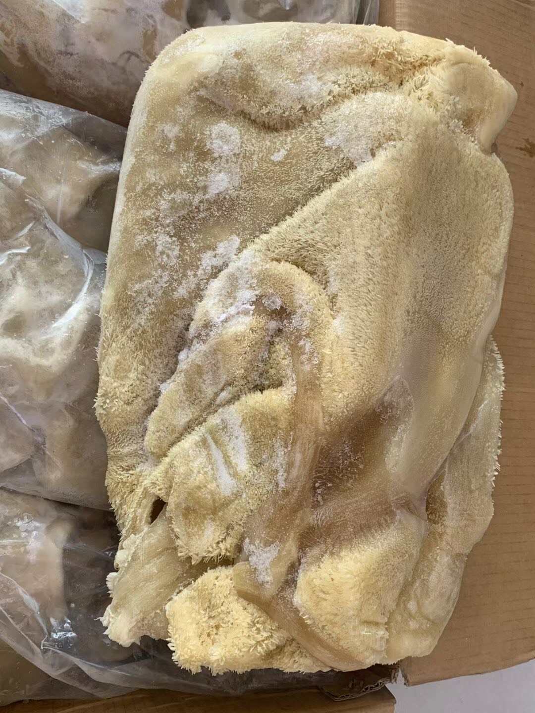 熟牛肚