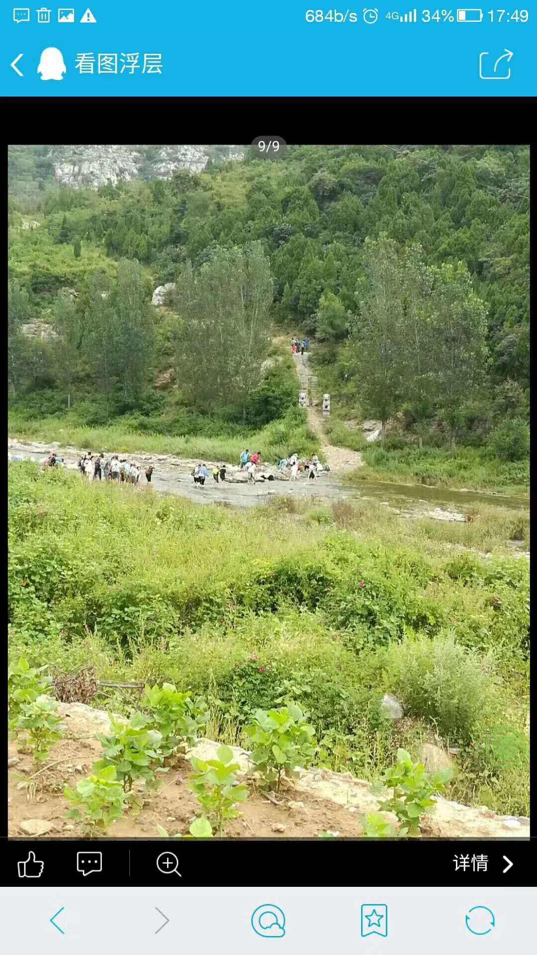 山东省博山区源泉镇猕猴桃