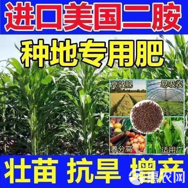 二铵正品化肥含量磷酸通用小麦玉米肥料水稻药材农作物速溶果树