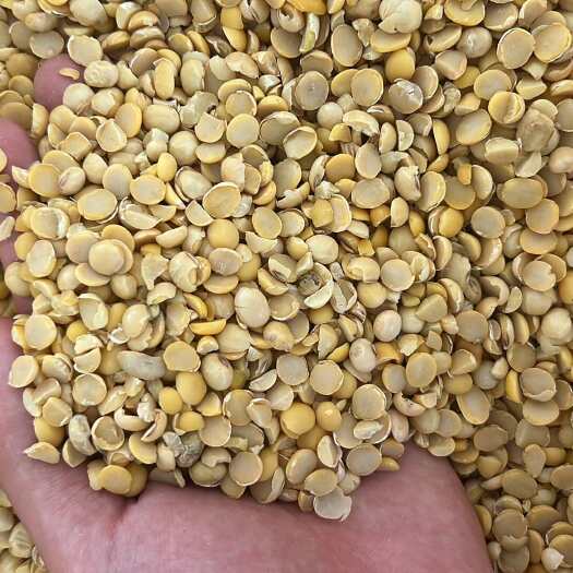 郓城县碎黄豆瓣，碎黄豆下脚料￼￼