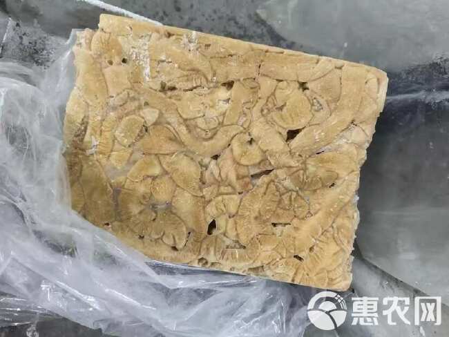 精品预煮大肠