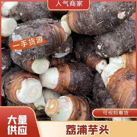 钟山县广西荔浦芋头，开始上市，半斤起不