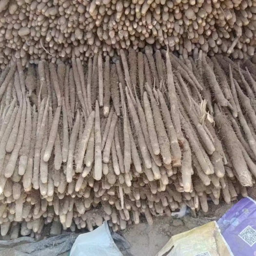 小白嘴山藥，鐵棍山藥，雙棒山藥，產(chǎn)地直供，可水洗加工分揀