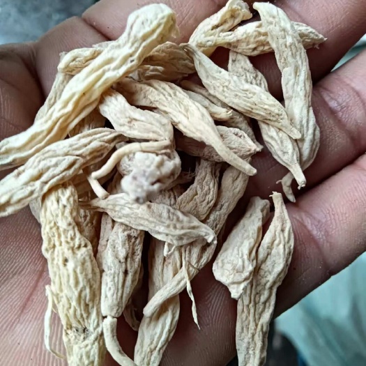 宜昌麦冬