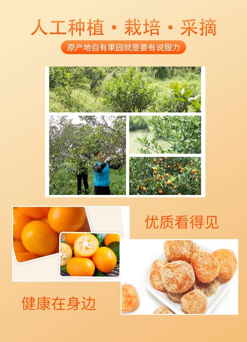 100g一袋元鹭甘草金桔包邮