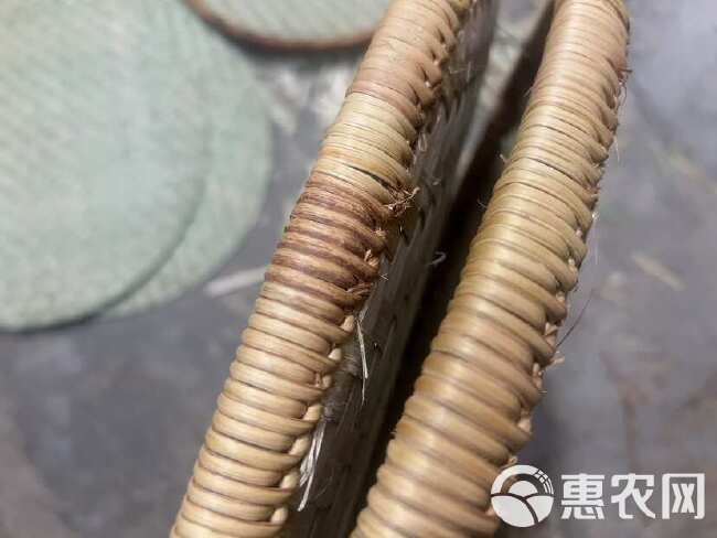 簸箕 60cm直径 纯手工编织 头皮竹青