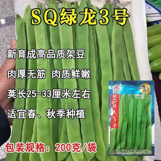 沭阳县SQ绿龙5号架豆种子 春秋早熟扁条四季豆菜豆种子肉厚耐老化蔬