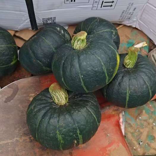 基地精品贝贝南瓜大量供应，支持大吨位接单，市场货，电商货