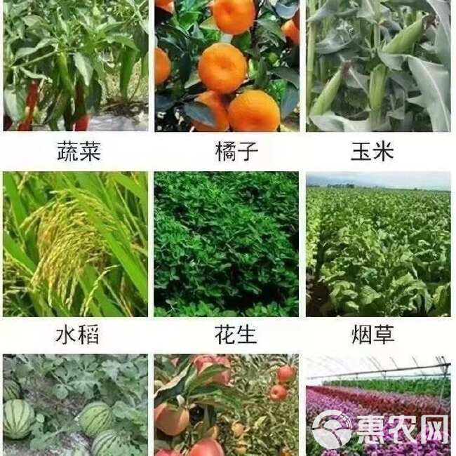 二铵正品化肥含量磷酸通用小麦玉米肥料水稻药材农作物速溶果树