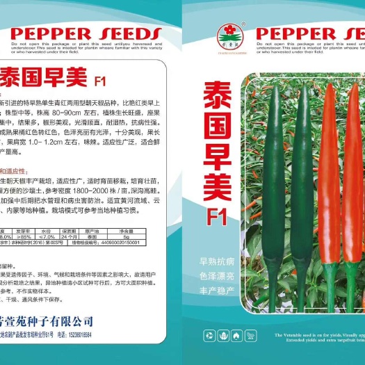 商丘新一代青红两用型大果朝天椒—泰国早美！