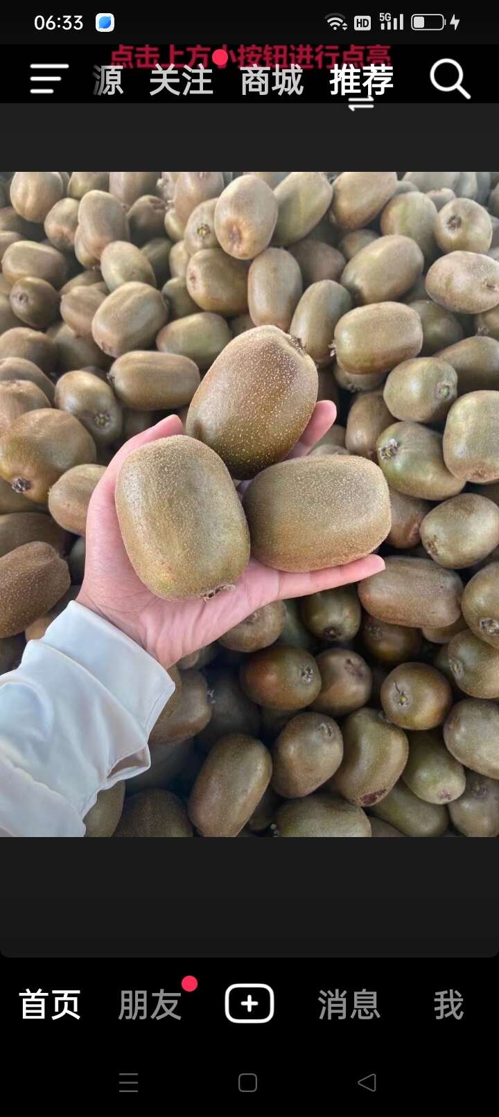 泰山一（碧玉）猕猴桃
