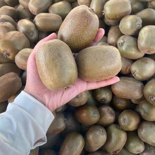 沂源县泰山一（碧玉）猕猴桃