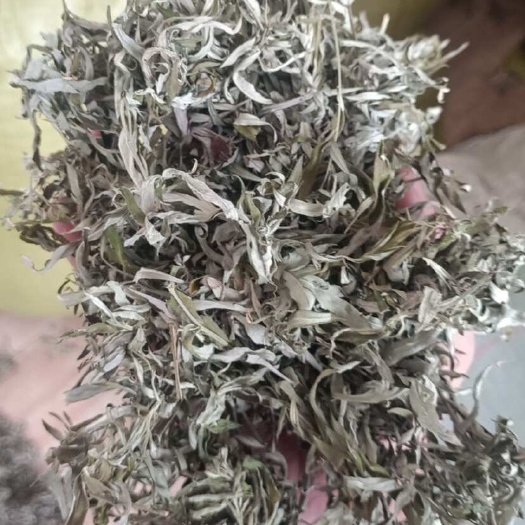 泰安艾草