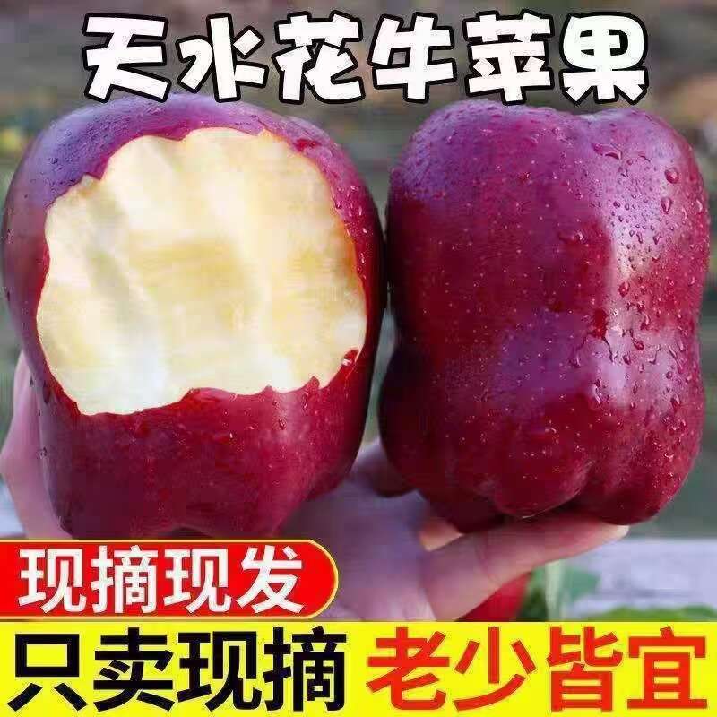 甘肃花牛苹果