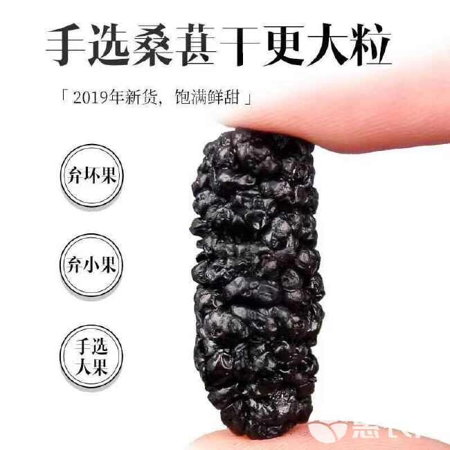 桑葚干新疆新货吐鲁番野生桑葚泡茶颗粒免洗无沙颗粒泡水批发