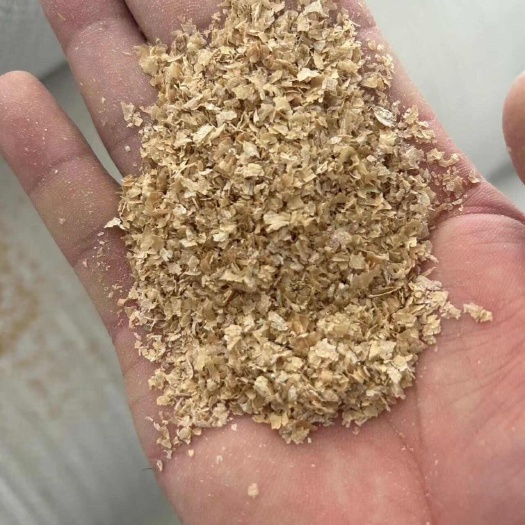 石家庄麸皮，玉米酒糟，喷浆玉米皮，