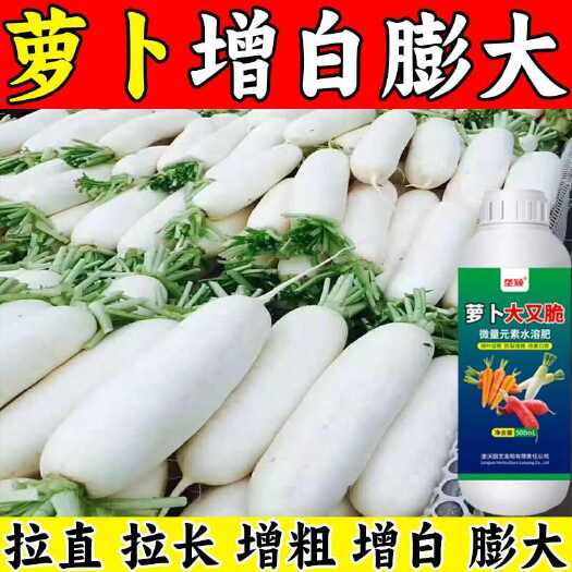 栾川县白萝卜增白拉直膨大素防裂防畸形萝卜大又脆果蔬通用增白剂专用