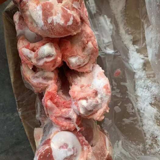 临沂带肉前腿骨