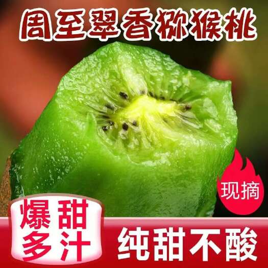 周至县陕西周至翠香猕猴桃新鲜奇异果产地现摘现发树上熟当季果一件代发