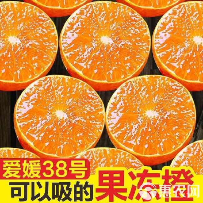 【头茬新果】新鲜采摘青皮爱媛38号果冻爱媛橙皮薄多汁水果