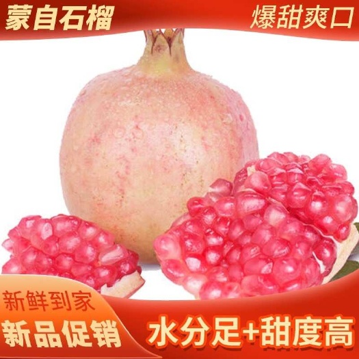 蒙自市榨汁果工厂果都可以找我