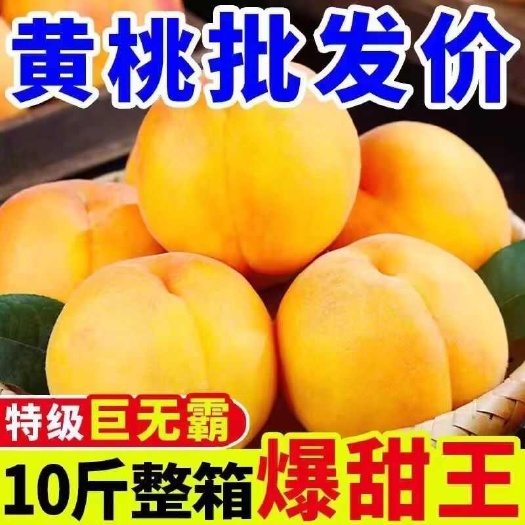 广州大降价 新鲜当季黄桃油整箱批发
