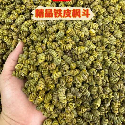 广州霍山铁皮枫斗石斛 .紫皮石斛.水草.大量批发石斛