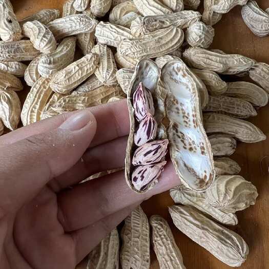 孟连县孟连农副产品加工