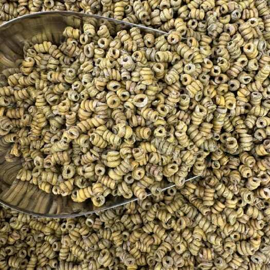 广州石斛 霍山铁皮米斛一手货源全国发货量大价优