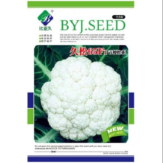 久松65松花菜种子有机花菜秋播中熟半松青梗散花菜引进