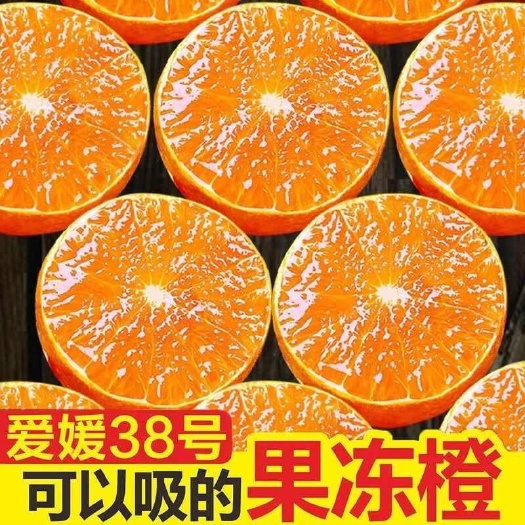 青岛【头茬新果】新鲜采摘青皮爱媛38号果冻爱媛橙皮薄多汁孕妇水果