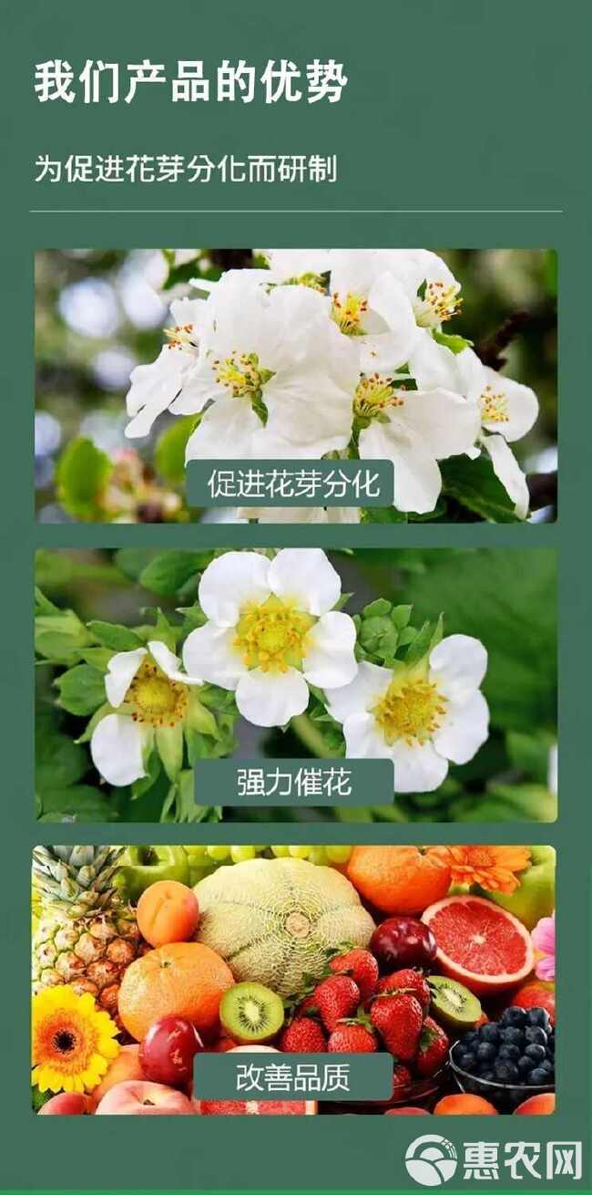 促花素高磷肥促进花芽分化提高坐果率