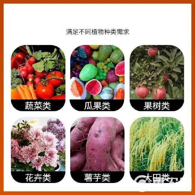 促花素高磷肥促进花芽分化提高坐果率