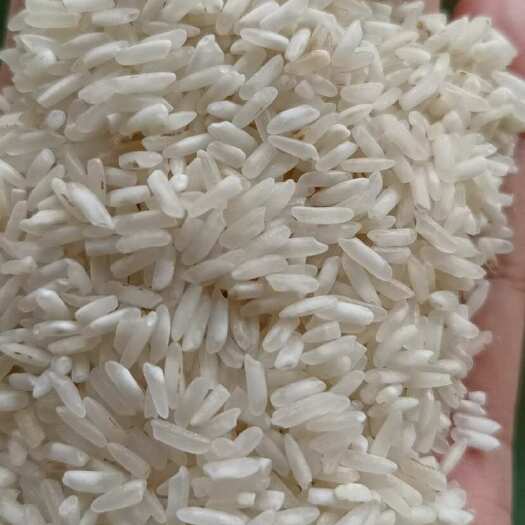 团风县色选米，酒米，白米
