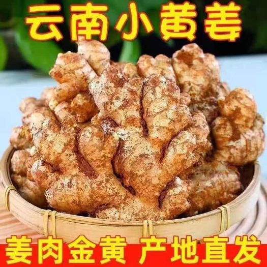 昆明云南山地小黄姜老姜嫩姜随机 新鲜现挖  电商供应一件代发包邮